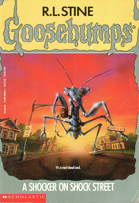 Goosebumps: A Shocker on Shock Street by R. L. Stine